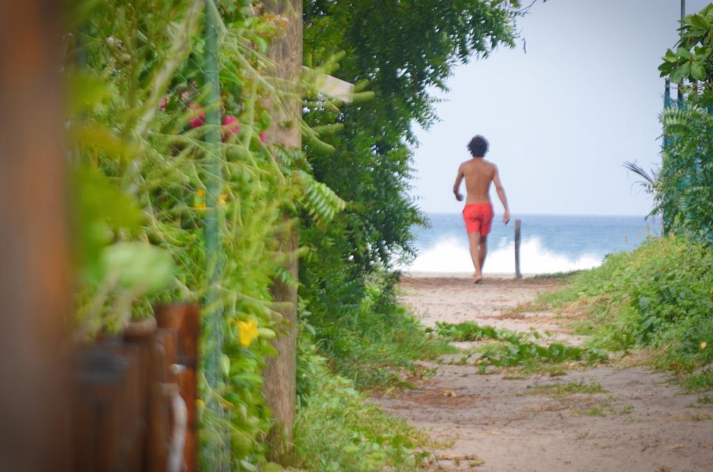 Vibra Guesthouse ポポヨ エクステリア 写真